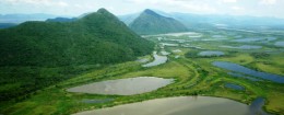 pantanal