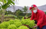 Lula oposição Plano Safra Plano Sofra