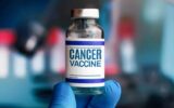 vacina cancer
